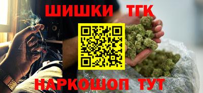 индика Лесосибирск
