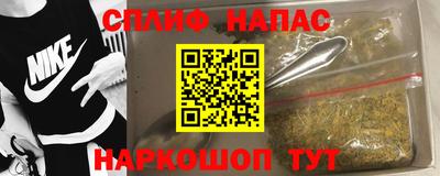 индика Лесосибирск