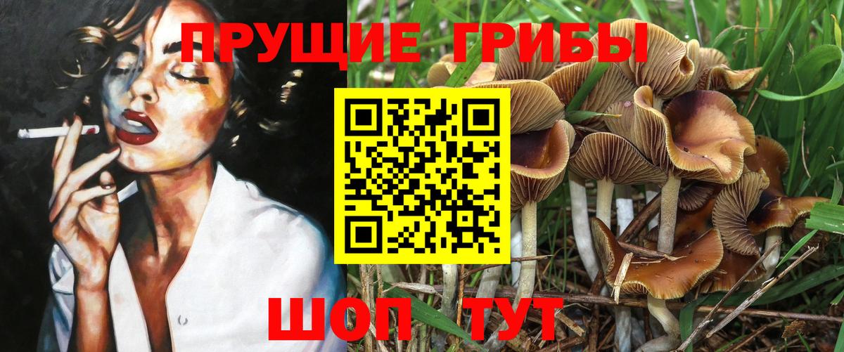 Югорск  Псилоцибиновые грибы мухоморы  Вход с VPN 