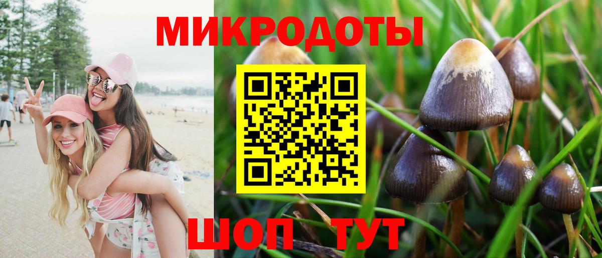 Галлюциногенные грибы мицелий Югорск